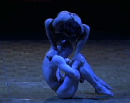 Pilobolus